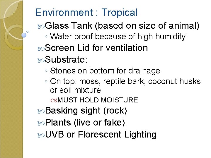 Environment : Tropical Glass Tank (based on size of animal) ◦ Water proof because
