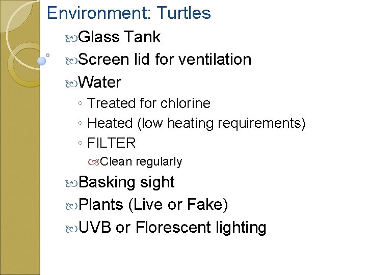 Environment: Turtles Glass Tank Screen lid for ventilation Water ◦ Treated for chlorine ◦