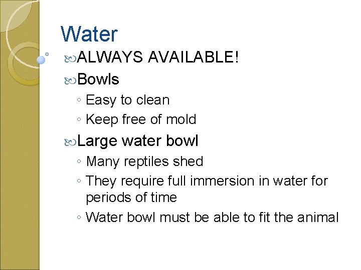 Water ALWAYS AVAILABLE! Bowls ◦ Easy to clean ◦ Keep free of mold Large