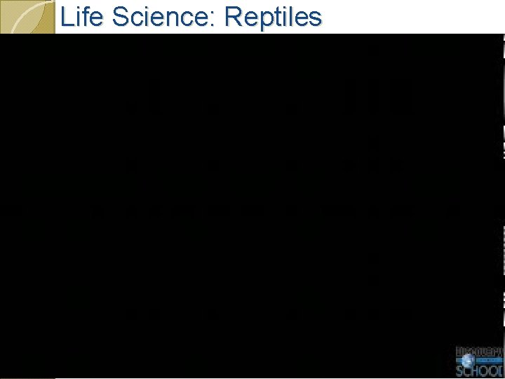 Life Science: Reptiles 