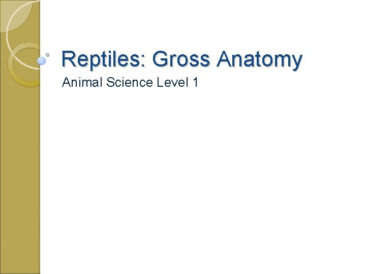 Reptiles: Gross Anatomy Animal Science Level 1 