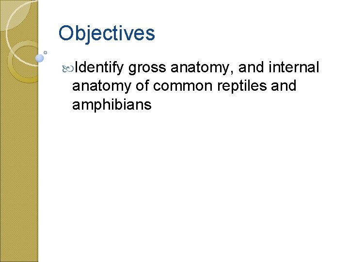 Objectives Identify gross anatomy, and internal anatomy of common reptiles and amphibians 