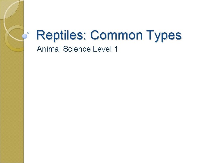 Reptiles: Common Types Animal Science Level 1 