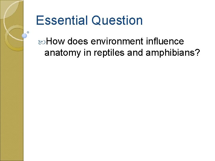 Essential Question How does environment influence anatomy in reptiles and amphibians? 