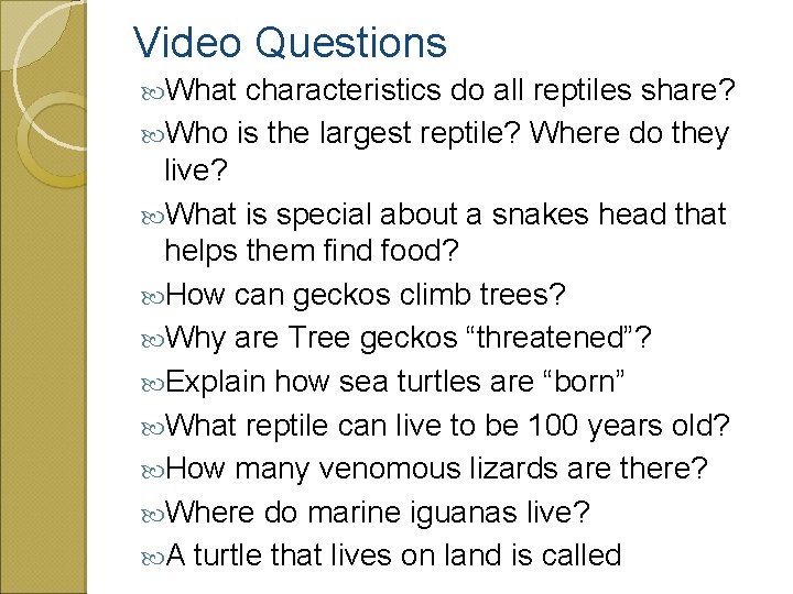 Video Questions What characteristics do all reptiles share? Who is the largest reptile? Where