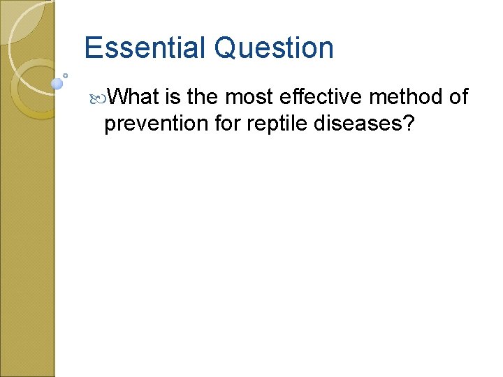 Essential Question What is the most effective method of prevention for reptile diseases? 