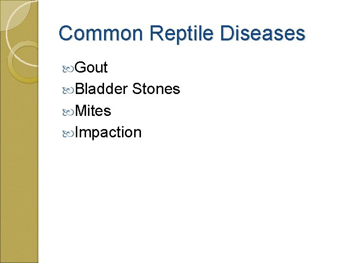 Common Reptile Diseases Gout Bladder Stones Mites Impaction 