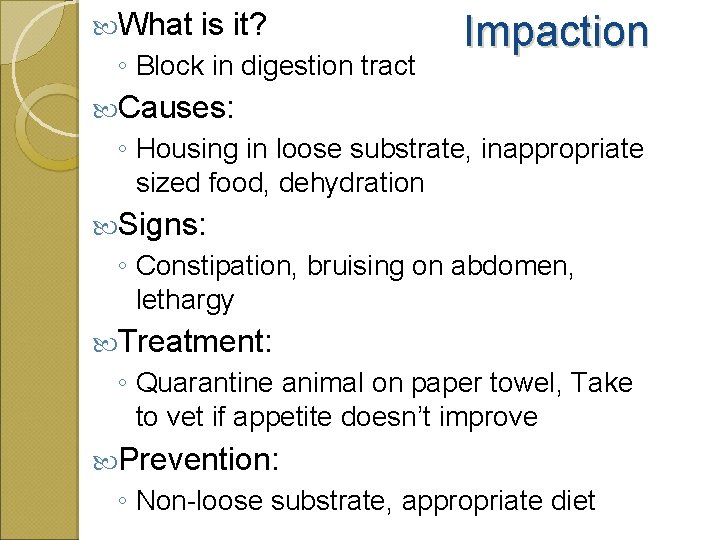  What is it? ◦ Block in digestion tract Impaction Causes: ◦ Housing in