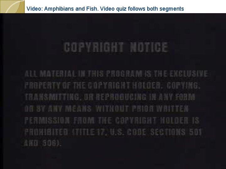 Video: Amphibians and Fish. Video quiz follows both segments 