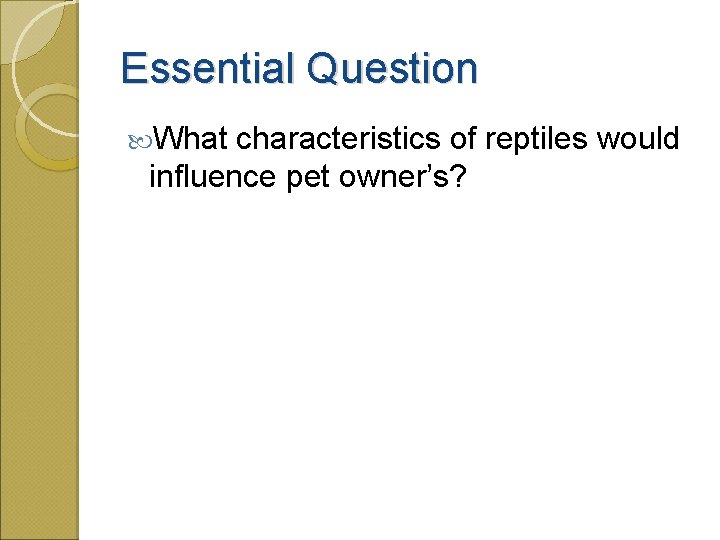 Essential Question What characteristics of reptiles would influence pet owner’s? 