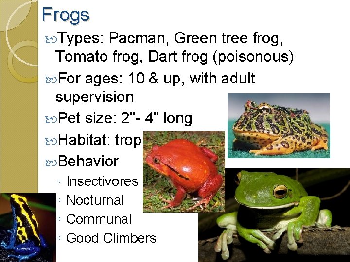 Frogs Types: Pacman, Green tree frog, Tomato frog, Dart frog (poisonous) For ages: 10