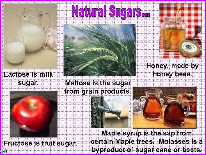 Lactose is milk sugar. Honey, made by honey bees. Maltose is the sugar from
