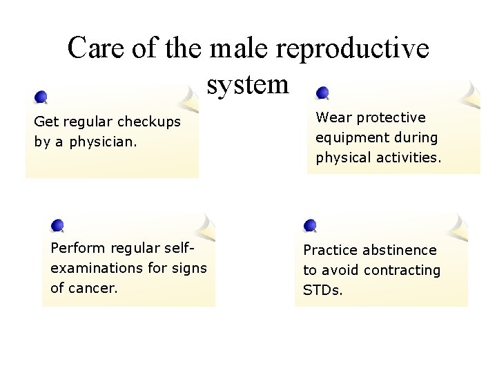 Care of the male reproductive system Get regular checkups by a physician. Perform regular