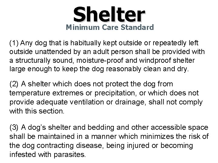 Shelter Minimum Care Standard (1) Any dog that is habitually kept outside or repeatedly Shelter Minimum Care Standard (1) Any dog that is habitually kept outside or repeatedly