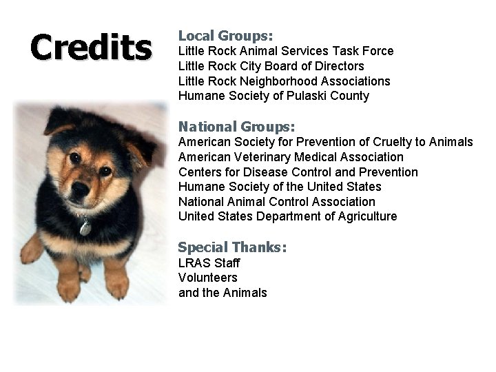 Credits Local Groups: Little Rock Animal Services Task Force Little Rock City Board of