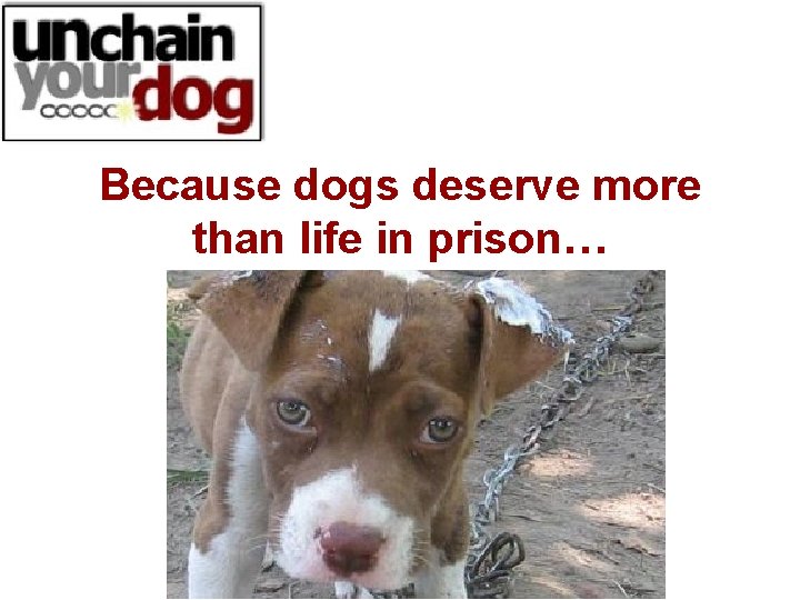 Because dogs deserve more than life in prison… 