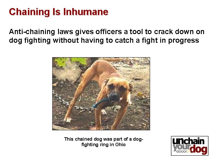 Chaining Is Inhumane Anti-chaining laws gives officers a tool to crack down on dog