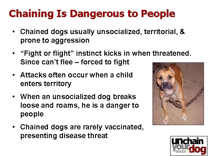 Chaining Is Dangerous to People • Chained dogs usually unsocialized, territorial, & prone to