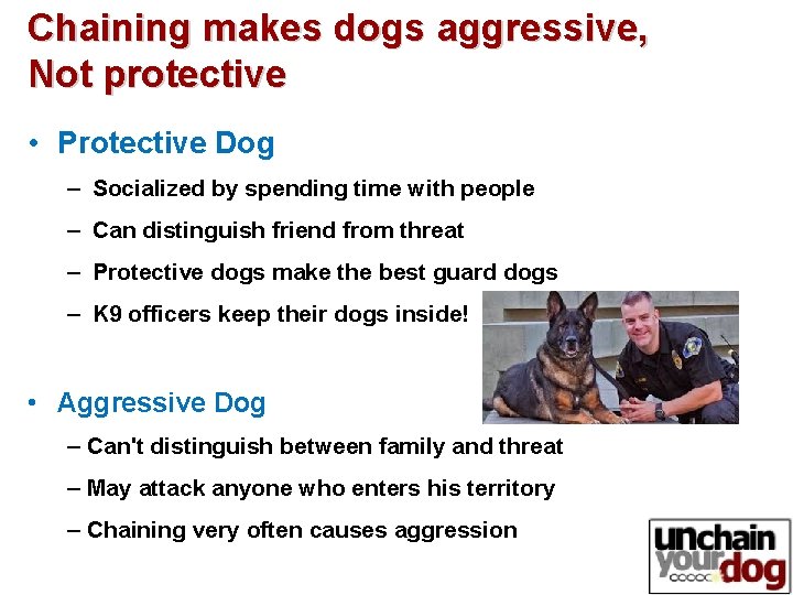 Chaining makes dogs aggressive, Not protective • Protective Dog – Socialized by spending time