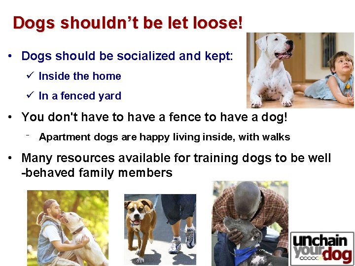 Dogs shouldn’t be let loose! • Dogs should be socialized and kept: ü Inside