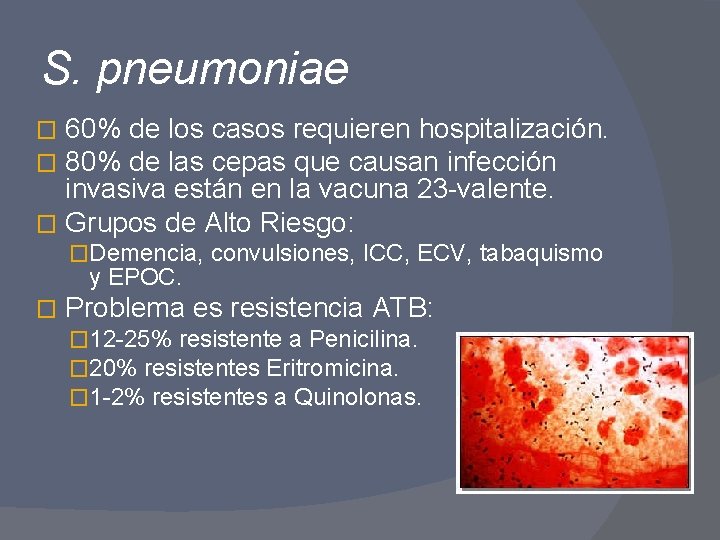 S. pneumoniae 60% de los casos requieren hospitalización. 80% de las cepas que causan
