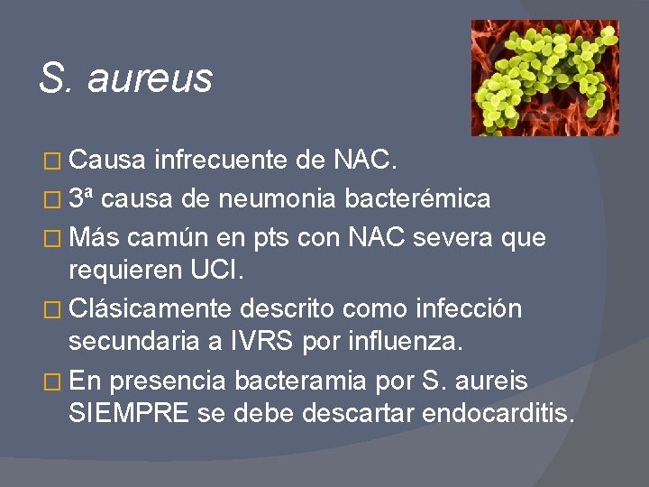 S. aureus � Causa infrecuente de NAC. � 3ª causa de neumonia bacterémica �