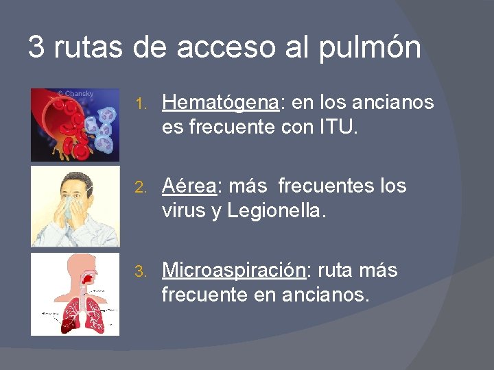 3 rutas de acceso al pulmón 1. Hematógena: en los ancianos es frecuente con