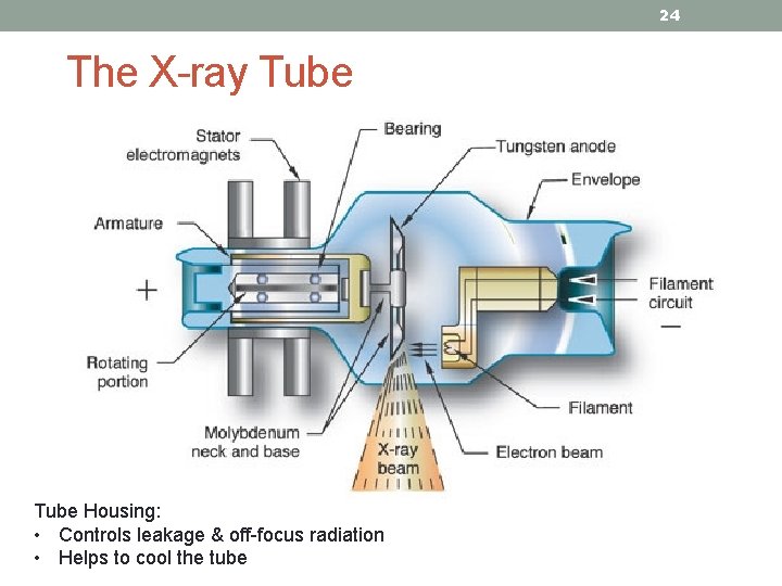 24 The X-ray Tube Housing: • Controls leakage & off-focus radiation • Helps to
