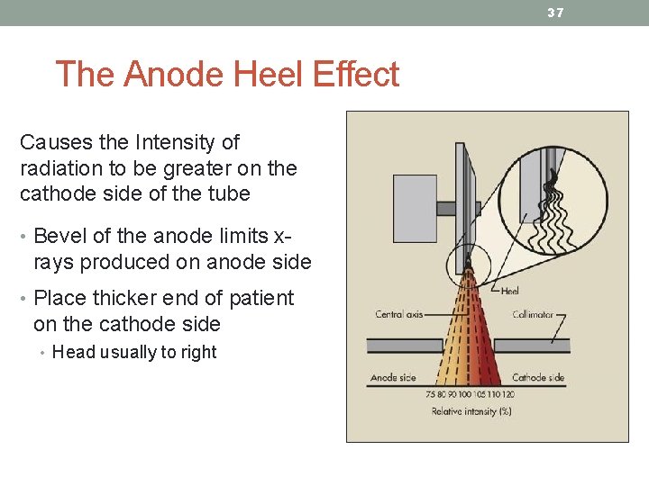 37 The Anode Heel Effect Causes the Intensity of radiation to be greater on