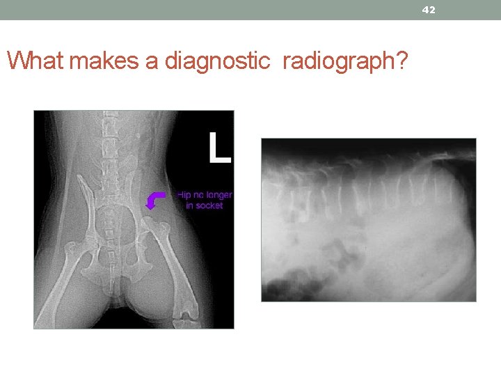 42 What makes a diagnostic radiograph? 