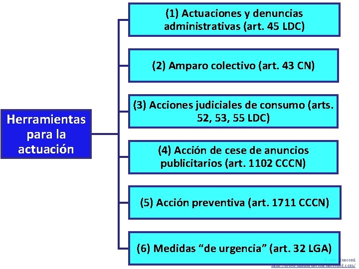 (1) Actuaciones y denuncias administrativas (art. 45 LDC) (2) Amparo colectivo (art. 43 CN)