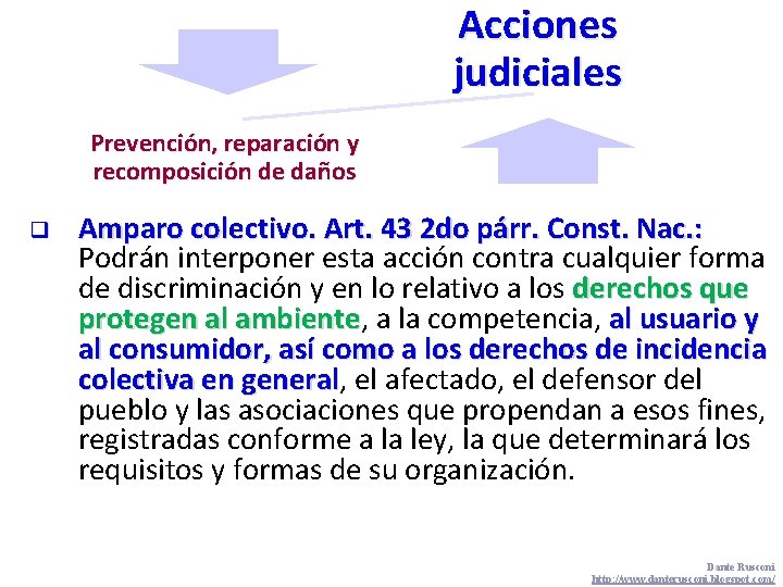 Acciones judiciales Prevención, reparación y recomposición de daños q Amparo colectivo. Art. 43 2