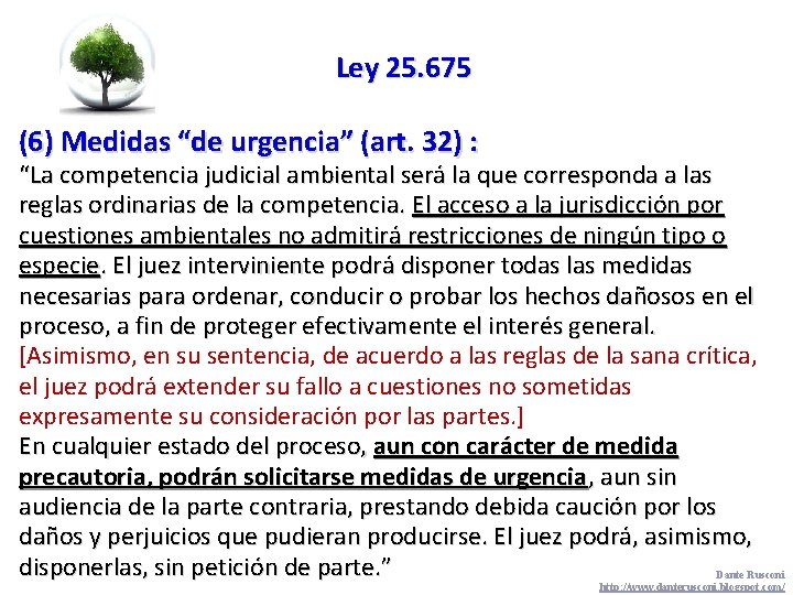 Ley 25. 675 (6) Medidas “de urgencia” (art. 32) : “La competencia judicial ambiental