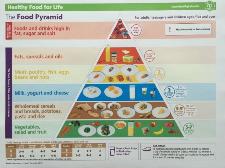 The Food Pyramid 