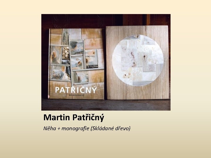 Martin Patřičný Něha + monografie (Skládané dřevo) 
