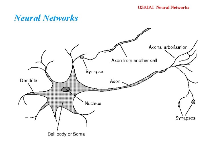 G 5 AIAI Neural Networks 