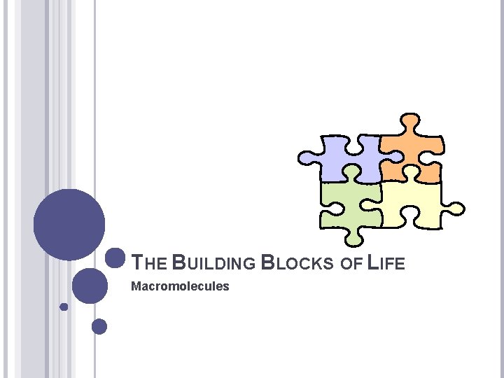 THE BUILDING BLOCKS OF LIFE Macromolecules 