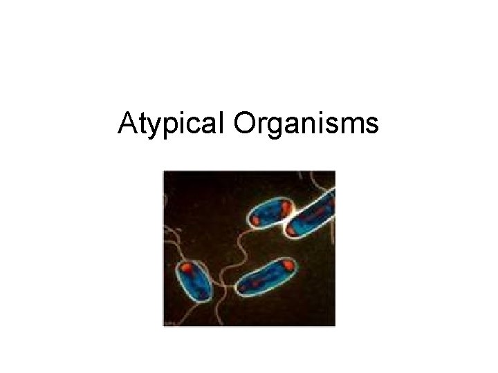 Atypical Organisms 