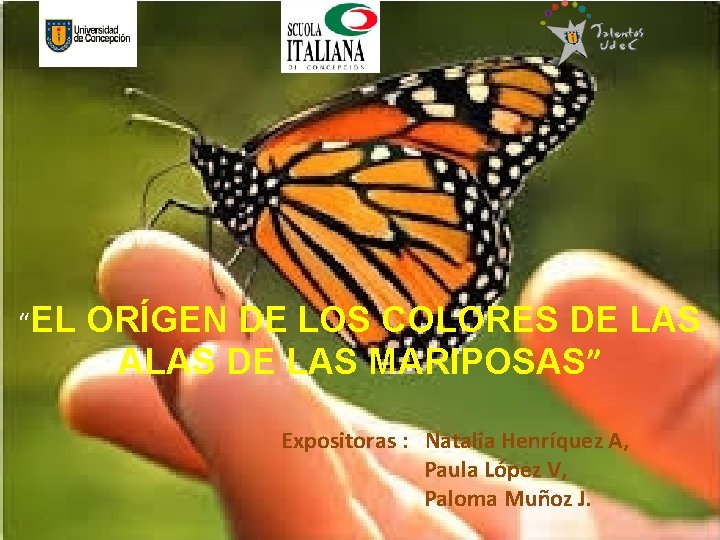 “EL ORÍGEN DE LOS COLORES DE LAS ALAS DE LAS MARIPOSAS” Expositoras : Natalia