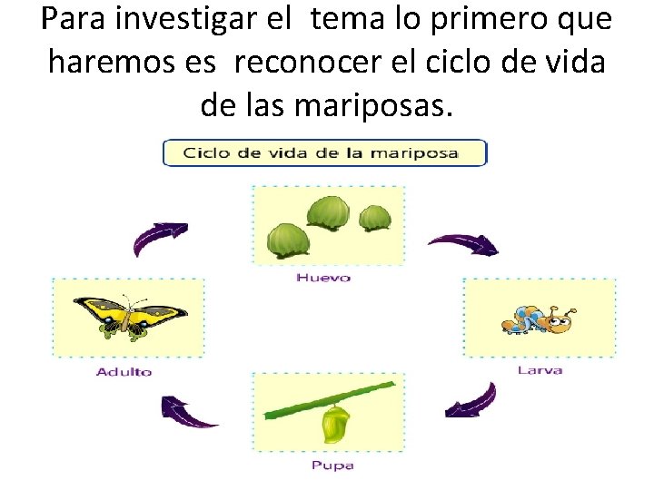 Para investigar el tema lo primero que haremos es reconocer el ciclo de vida