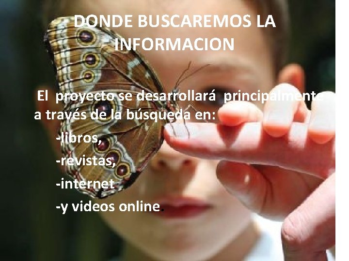 DONDE BUSCAREMOS LA INFORMACION El proyecto se desarrollará principalmente a través de la búsqueda