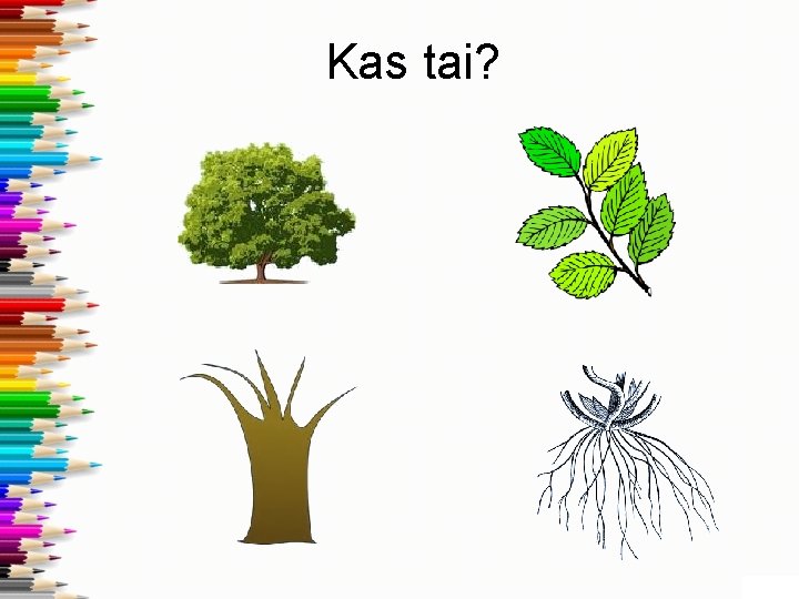 Kas tai? 