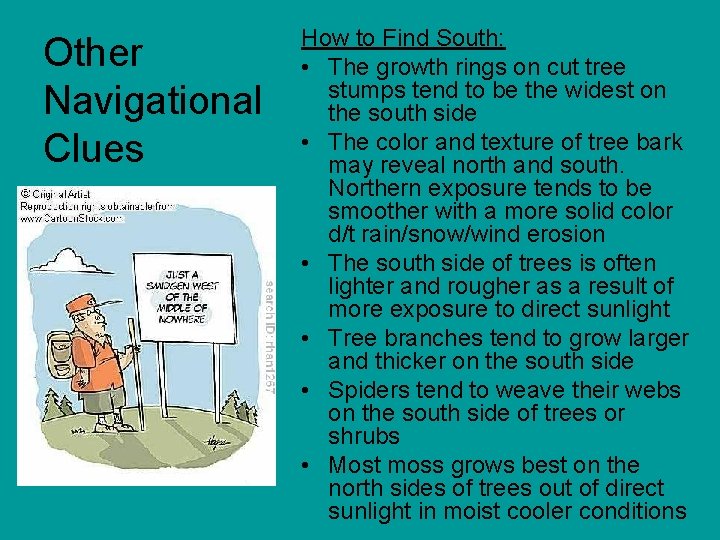 Other Navigational Clues How to Find South: • The growth rings on cut tree