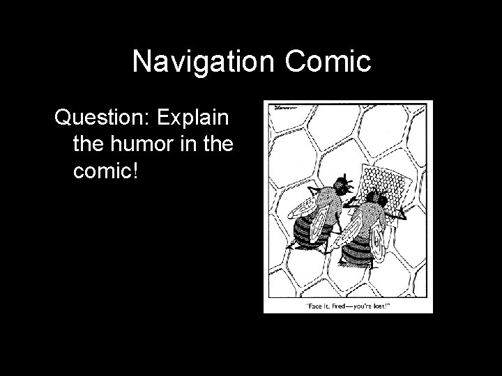 Navigation Comic Question: Explain the humor in the comic! 