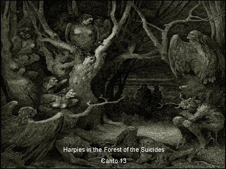Harpies in the Forest of the Suicides Canto 13 