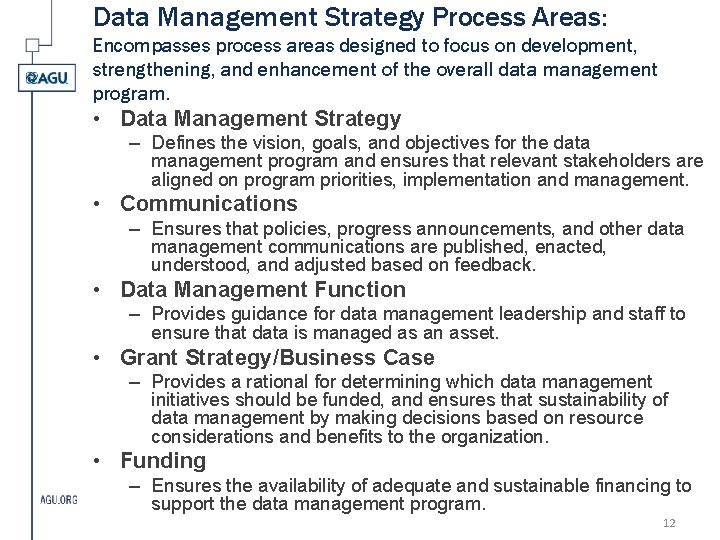 Data Management Strategy Process Areas: Encompasses process areas designed to focus on development, strengthening,