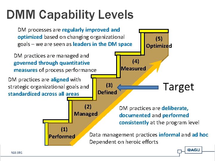 DMM Capability Levels DM processes are regularly improved and optimized based on changing organizational