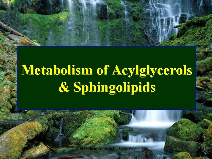 Metabolism of Acylglycerols & Sphingolipids Metabolism of Acylglycerols-Piry 