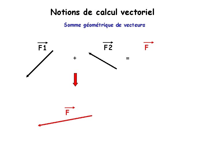 Notions de calcul vectoriel Somme géométrique de vecteurs F 2 F 1 + F