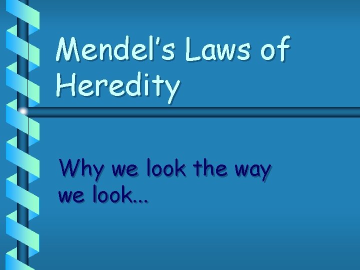 Mendel’s Laws of Heredity Why we look the way we look. . . 